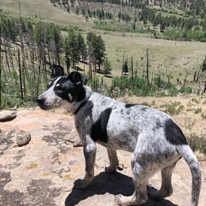 Meet your Posher, Elle